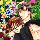 HCD「可愛い下僕の育て方」