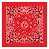 Carolina Have, A, Hank Paisley Bandannas, 22-Inch by 22-Inch, Red