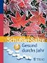 Sch��ler-Salze: Gesund durchs Jahr