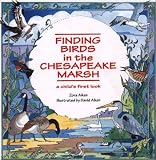 Finding Birds in the Chesapeake Marsh: A Childs First Look