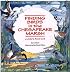 Finding Birds in the Chesapeake Marsh: A Child's First Look