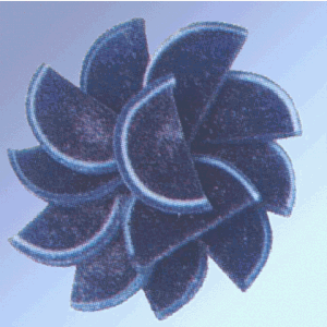 Fruit Slices Blue Raspberry by The Candy Depot