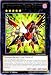 Yu-Gi-Oh! - Raidraptor - Blaze Falcon (CROS-EN048) - Crossed Souls - 1st Edition - Rare