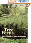 Tree Ferns