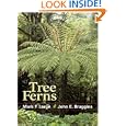 Tree Ferns