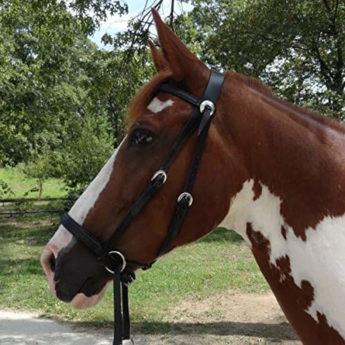 Dr. Robert Cook Bitless Bridle Western Leather Headstall