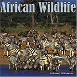 African Wildlife 2008 Wall Calendar