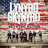 Skynyrd Nation