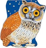Pocket Owl (Pocket Pals)