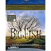 Big Fish - Le Storie Di Una Vita Incredibile