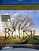 Big Fish - Le Storie Di Una Vita Incredibile