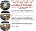 Book The Fantastic How To Earn Extra Money, Sales Models and eCommerce for Bridal Gowns Web Biz 3 CD Course