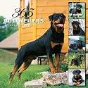Rottweilers 365 Days 2007 Calendar