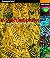 Invertebrates: A Quick Reference Guide (Oceanographic Series)