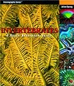 Invertebrates: A Quick Reference Guide (Oceanographic Series)