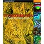 Invertebrates: A Quick Reference Guide (Oceanographic Series)