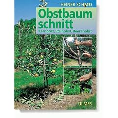 Obstbaumschnitt
