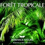Ambiance Nature Foret Tropicale