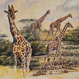 Safari III Gary Blackwell 12x12