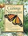 Book Curious Naturalist (National Geographic)
