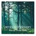 Ambient Heaven - Sounds of the Forest