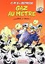 CRS = D�tresse, tome 12 : Gaz au m�tre