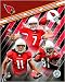 Cardinals - 2007 