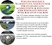 The Incredible Marketing, Godfather Principles and Accounting & Finance for Fondant Swags Web Biz 3 CD Course