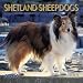 Shetland Sheepdogs 2001 Calendar