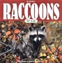Raccoons for Kids (Wildlife for Kids Series)