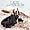 Lady Antebellum - Own The Night