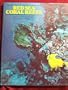 Red Sea Coral Reefs