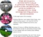 The Guerilla Marketing, Building Effective Lead Capture Web Pages, Affiliate Marketing for Internet Training Businesses