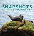 Snapshots: The Wonders of Monterey Bay