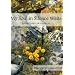 My Soul in Silence Waits: Meditations on Psalm 62 (Cloister Books)