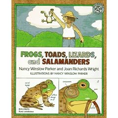 Frogs, Toads, Lizards, and Salamanders
