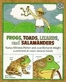 Frogs, Toads, Lizards, and Salamanders