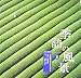 季語の風景〈2〉