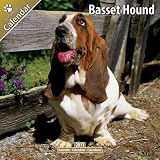 Kalender 2011 Basset Hound
