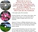 The Guerilla Marketing, Building Effective Lead Capture Web Pages, Affiliate Marketing for Cult Movies Businesses