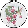 Dimensions Needlecrafts Counted Cross Stitch, For Dummies Hummingbird Floral