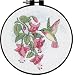 Dimensions Needlecrafts Counted Cross Stitch, For Dummies Hummingbird Floral