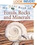 My Best Book of Fossils, Rocks and Minerals