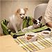 �ޥ륫��TouTou���ڥåȥ����������꡼��