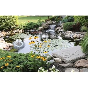 buy fish pond accessories
