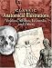 Classic Anatomical Illustrations