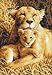 Cross Stitch Kit A Mother's Pride Gold Collection Petites