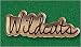 Sporting Goods : Wildcats Pins