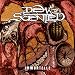 Anklicken zum Vergrößeren: Dew-Scented - Immortelle (Remastered+Bonus Tracks) (Audio CD)