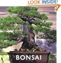 Bonsai